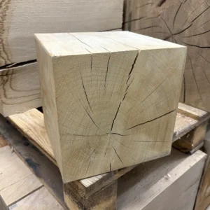 Nahaufnahme der Stirnseite eines unbehandelten Eichen-Holzklotzes mit natürlichen Trocknungsrissen für DIY-Projekte.