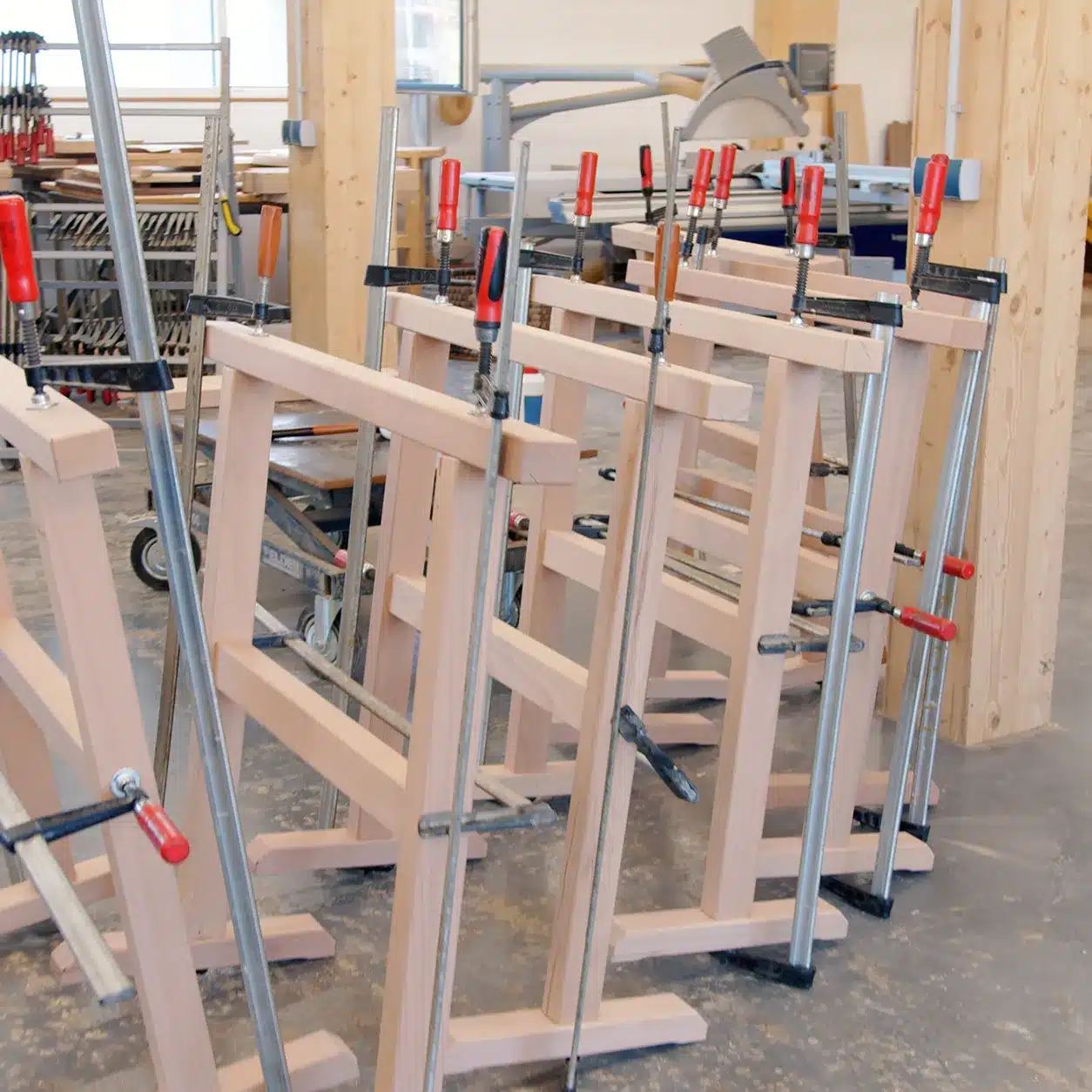 Reihe frisch verleimter Arbeitsboecke aus Buchenholz mit Schraubzwingen in der Schreinerei